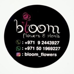 Bloom Flowers & Plants logo