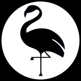 Beautiingo Aesthetic Clinics logo