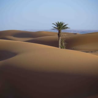 استراحه الوثبه logo