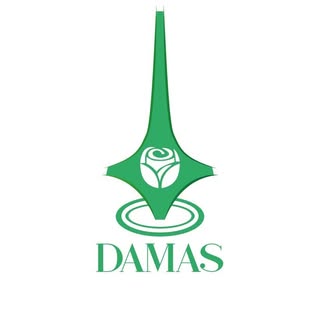 Damas Flowers & Events logo