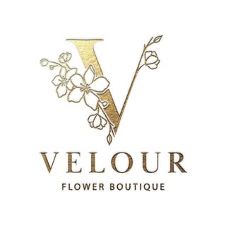 Velour Balloons logo
