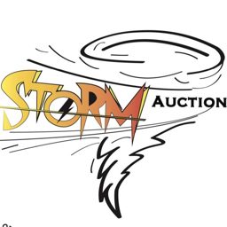 Storm Auction logo