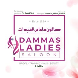 Damas Ladies Salon logo