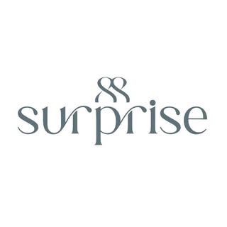 88Surprise Cake logo