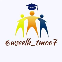 Wasael Strategiyat logo