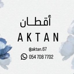 Aktan logo