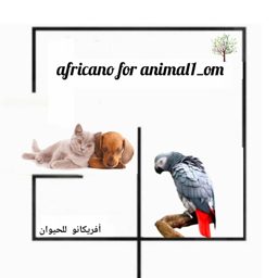 Africano Pet Store logo