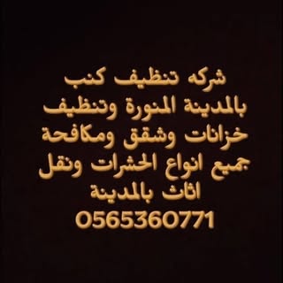 Medina Cleaning Company logo