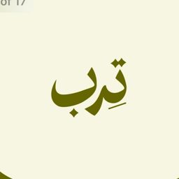 تِـرب logo