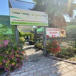 Aroma Nursery logo