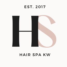Hair Spa logo