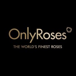 OnlyRoses Qatar logo