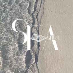 Seashell Case logo