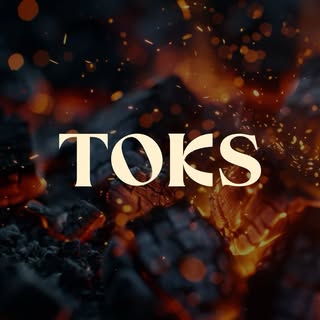 TOKS logo