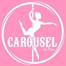 Carousel Aerial Arts & Fitness logo