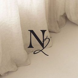 N2 Beauty Parlor logo