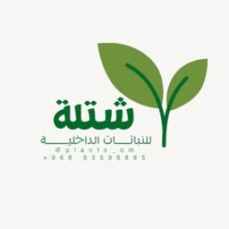 Shatla logo