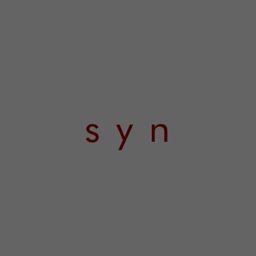 Syn logo