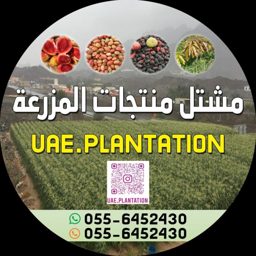 UAE Plantation logo