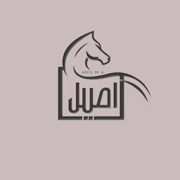 Aseel logo