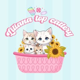 Liliana Top Cattery logo