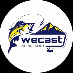 Wecast logo