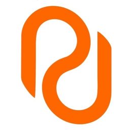 Professional Design logo
