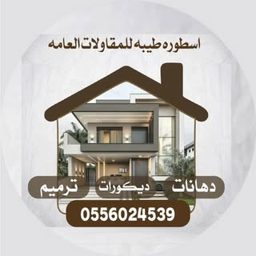 Medina Painting Master logo
