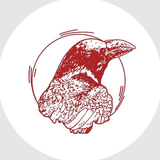 Draft Coffee & Co logo