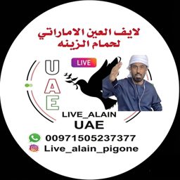 Live Al Ain Auction logo