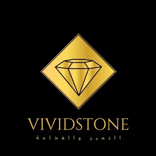 Vivid Stone logo