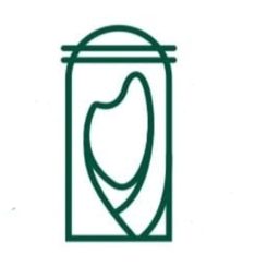 دار الفنون السعودية logo