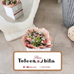 Toleen Abila logo