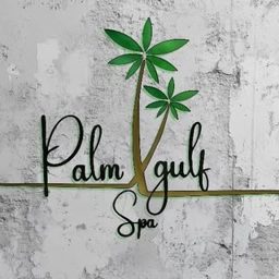 Palm Gulf Men's Spa logo