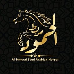 Al Hmoud Stud logo