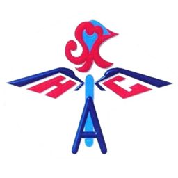 Al Hadi Medical Clinics logo