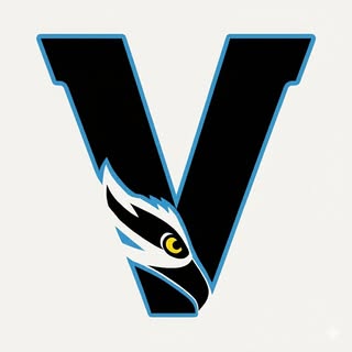 Virginia Sports Academy logo