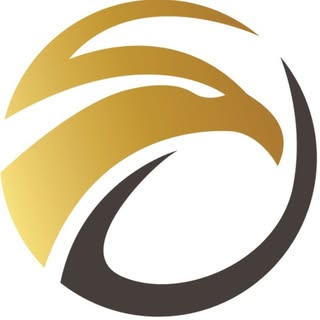 شاهين للاستشارات الهندسية logo