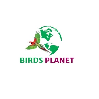 Birds Planet logo