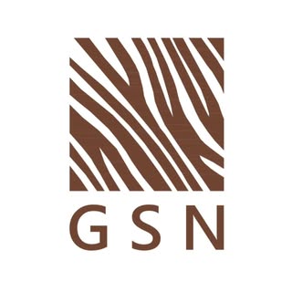 GSN logo
