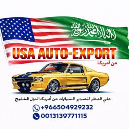 USA Auto Export logo