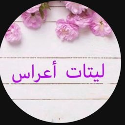 ليتات قطر عرس logo