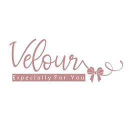 Velour logo