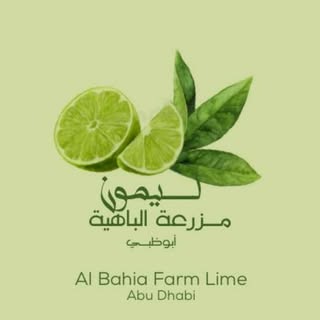 مزرعة ليمون الباهية البرازيلي logo
